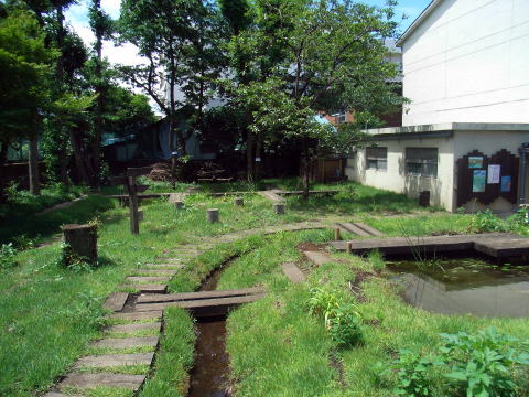 第七峡田小学校ビオトープ