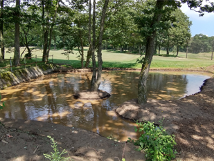 一番下の素掘り池の画像
