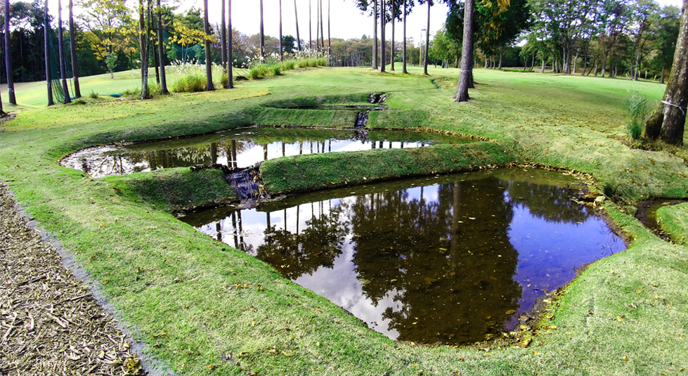 棚田状の池の画像