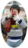 サツマイモを収穫する子供