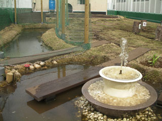 ビオトープ池と噴水